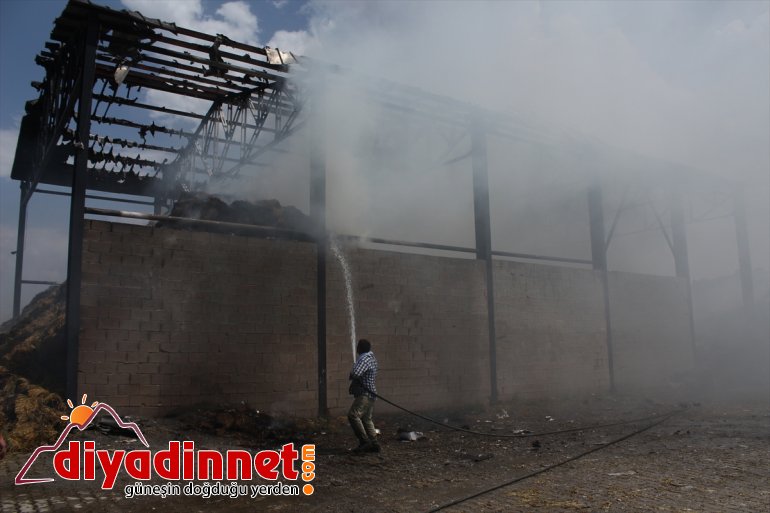 Besicinin umudu otlar yangında kül oldu4