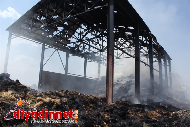 Besicinin umudu otlar yangında kül oldu5