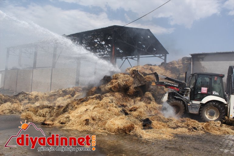 Besicinin umudu otlar yangında kül oldu6