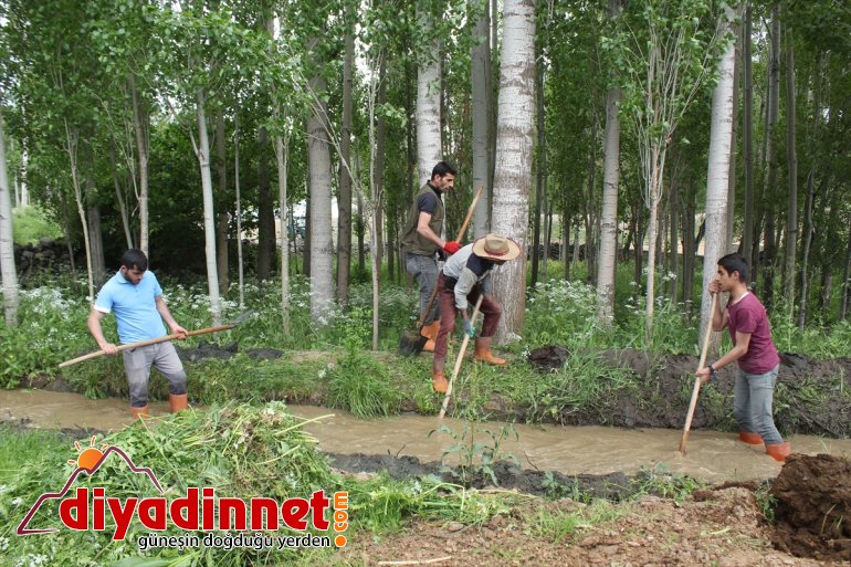 Hayvanları için her yıl 169 yıllık su kanalını temizliyorlar - AĞRI12