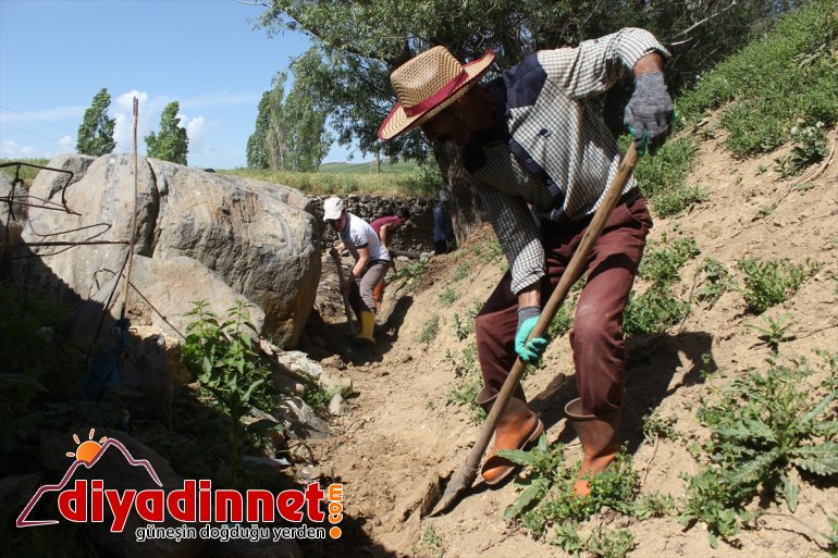 Hayvanları için her yıl 169 yıllık su kanalını temizliyorlar - AĞRI4