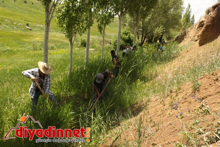 Hayvanları için her yıl 169 yıllık su kanalını temizliyorlar - AĞRI8