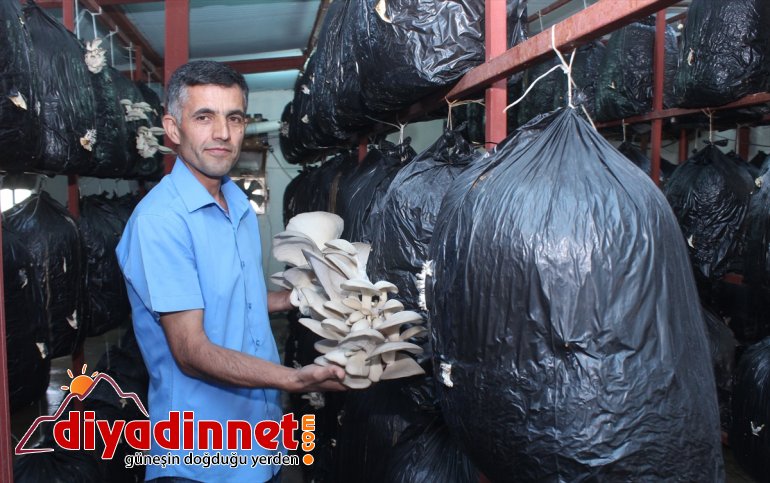 Huzuru Köyde Bulanlar - İran sınırındaki köyüne dönüp üretici oldu - AĞRI1