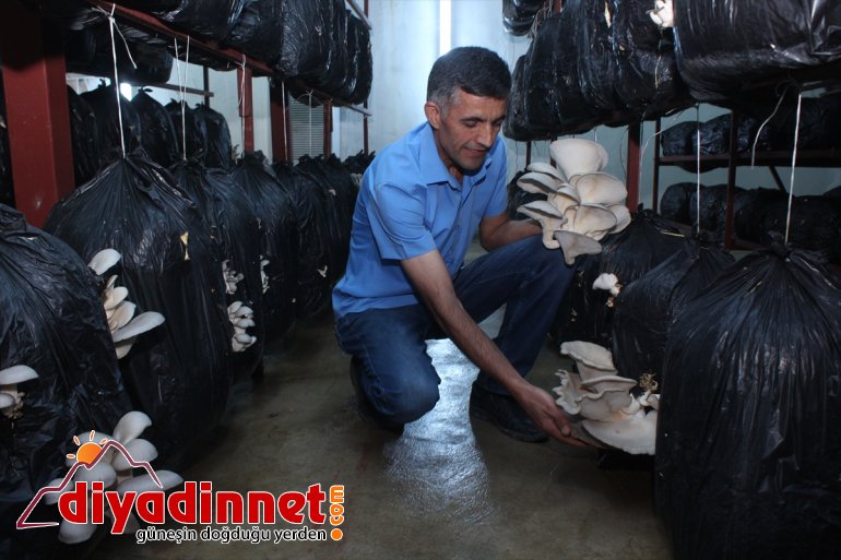 Huzuru Köyde Bulanlar - İran sınırındaki köyüne dönüp üretici oldu - AĞRI2