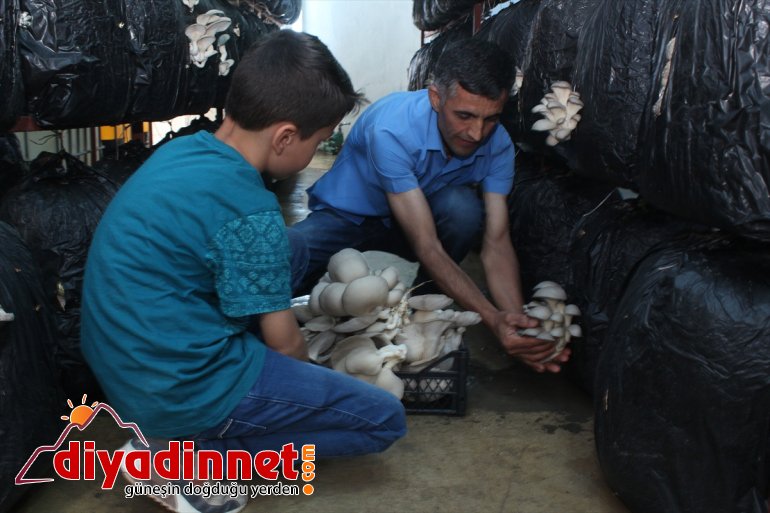 Huzuru Köyde Bulanlar - İran sınırındaki köyüne dönüp üretici oldu - AĞRI3