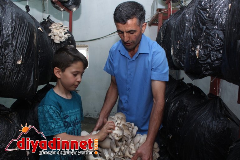 Huzuru Köyde Bulanlar - İran sınırındaki köyüne dönüp üretici oldu - AĞRI4