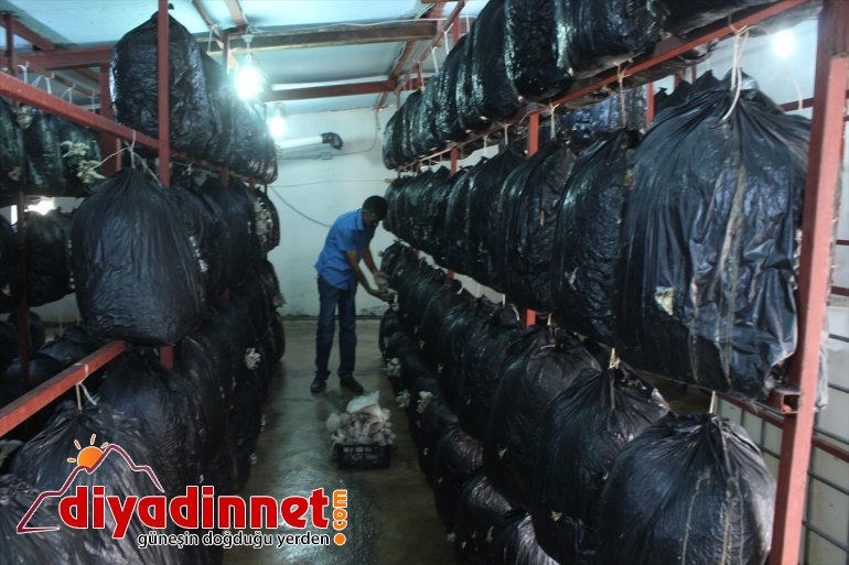 Huzuru Köyde Bulanlar - İran sınırındaki köyüne dönüp üretici oldu - AĞRI6