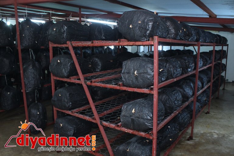 Huzuru Köyde Bulanlar - İran sınırındaki köyüne dönüp üretici oldu - AĞRI7