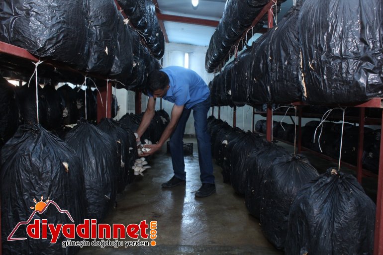 Huzuru Köyde Bulanlar - İran sınırındaki köyüne dönüp üretici oldu - AĞRI8