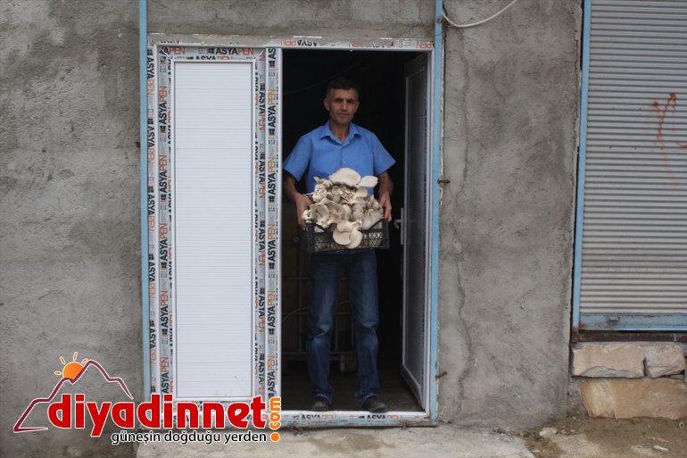 Huzuru Köyde Bulanlar - İran sınırındaki köyüne dönüp üretici oldu - AĞRI9