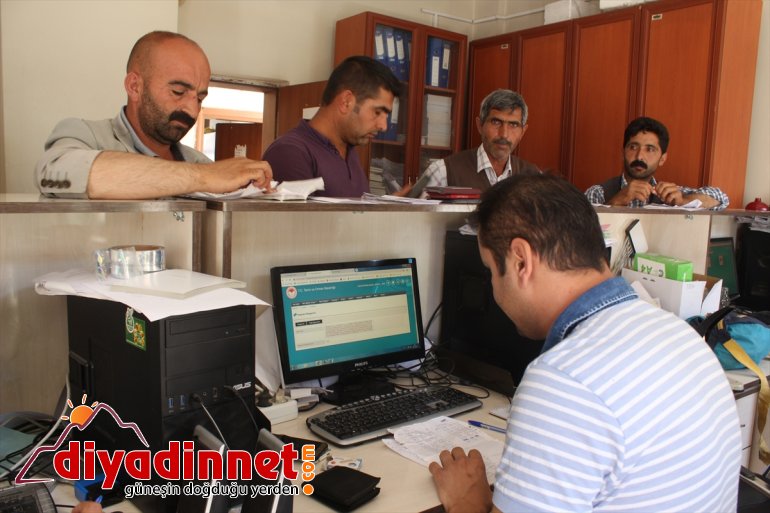 Kurban Bayramı öncesinde kurbanlık sevkiyatı hızlandı - AĞRI9