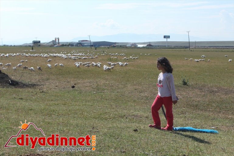 Pazardan aldığı tavukla çiftlik kurdu - AĞRI1