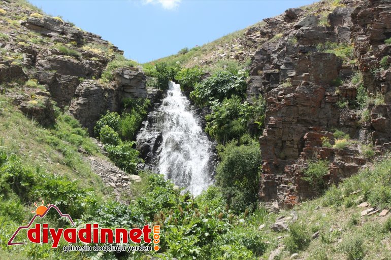 Saklı cennet Miraşe Yaylası göz kamaştırıyor - AĞRI8