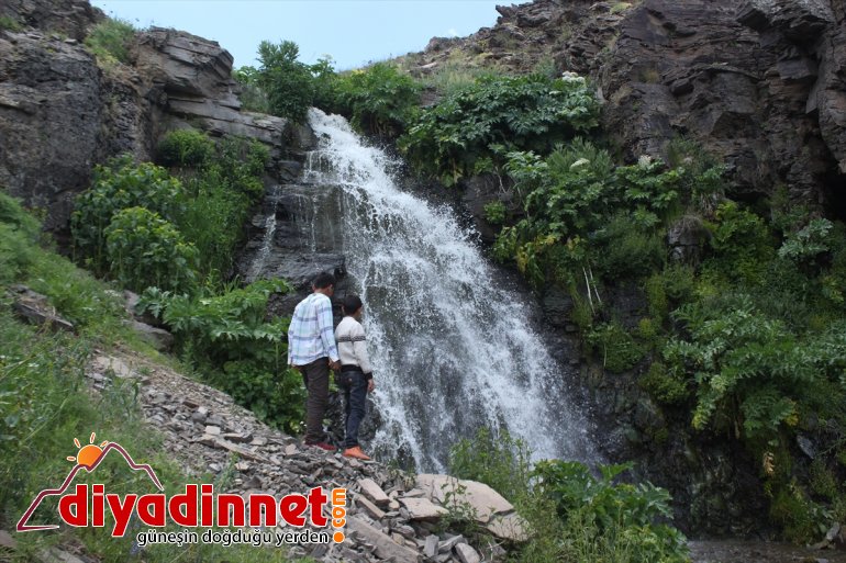 Saklı cennet Miraşe Yaylası göz kamaştırıyor - AĞRI9