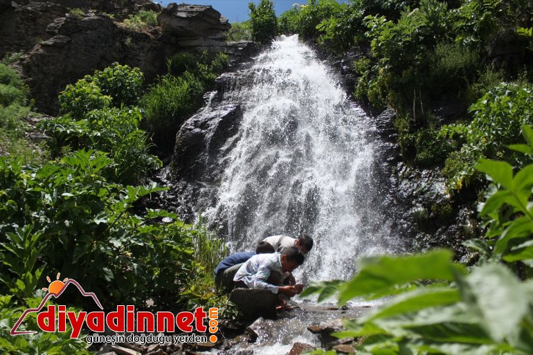 Saklı cennet 'Miraşe Yaylası' göz kamaştırıyor