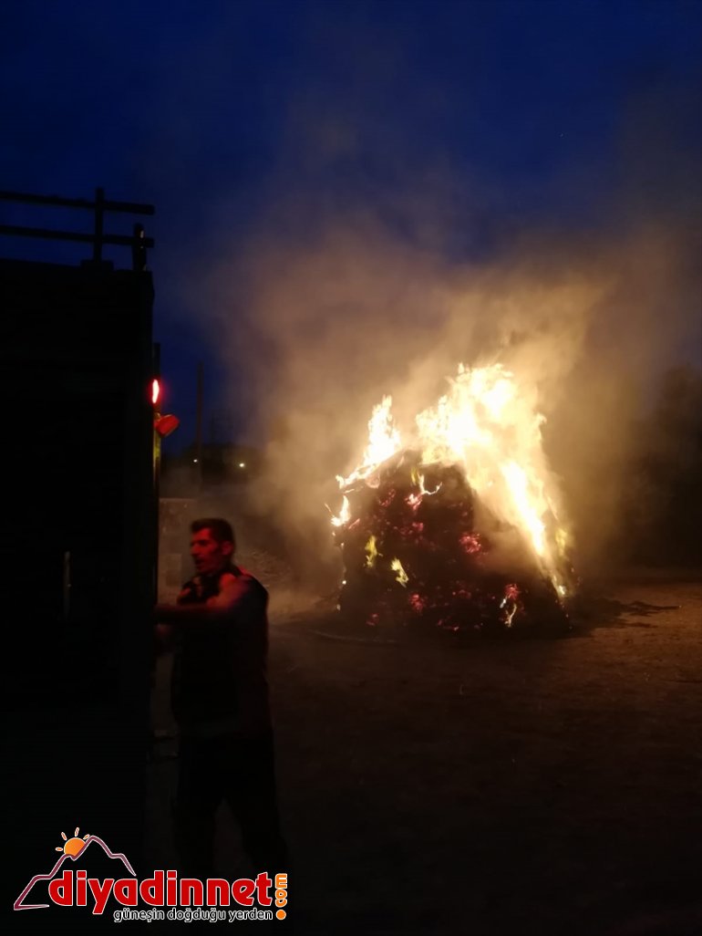 Besicinin 900 bağ otu yangında kül oldu