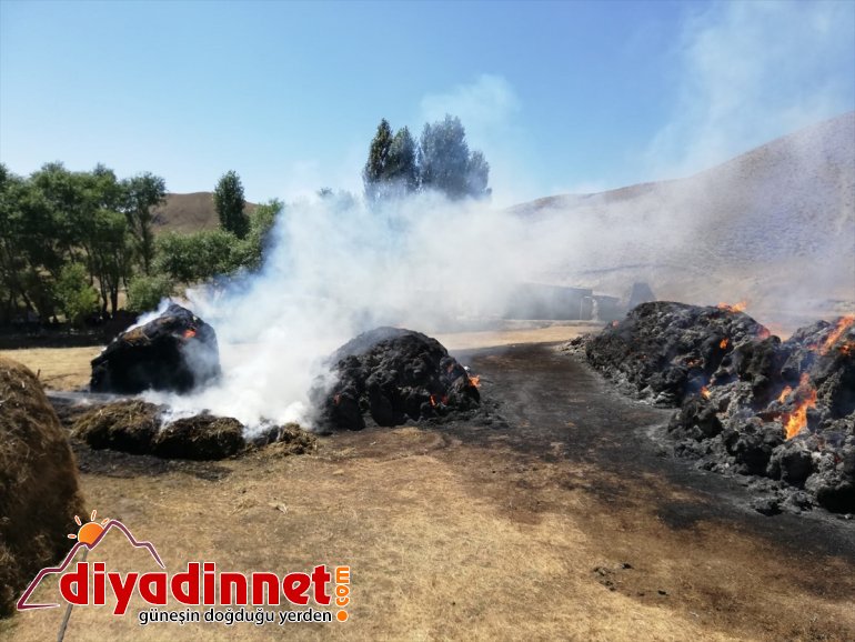 Besicinin umudu otlar yangında kül oldu