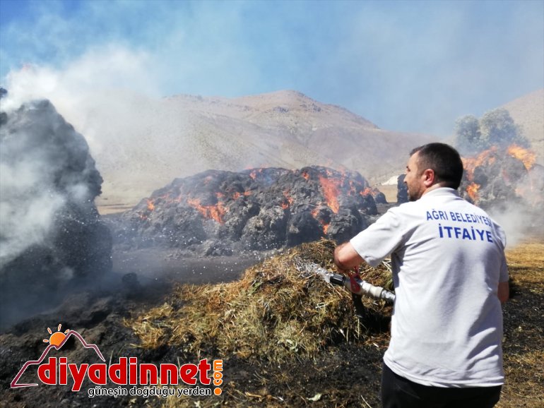 Besicinin umudu otlar yangında kül oldu - AĞRI2