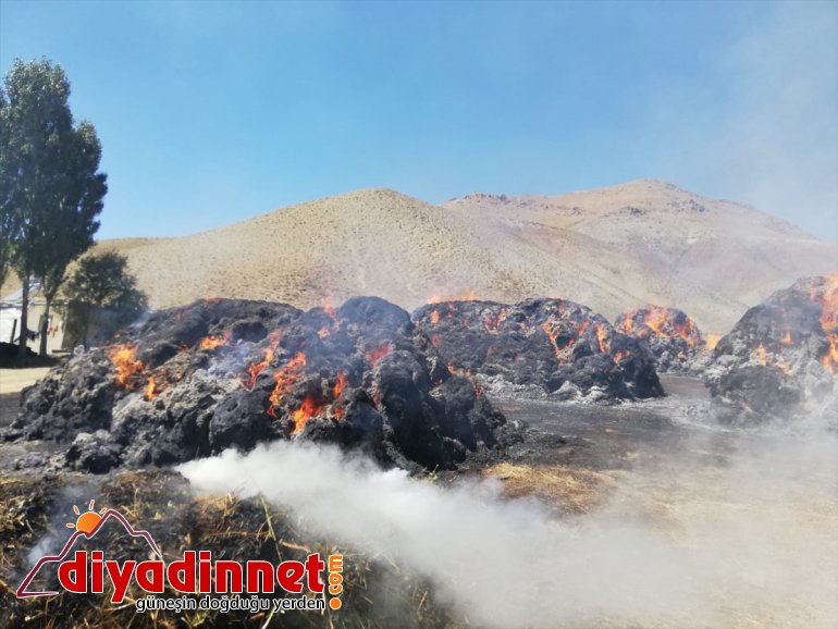 Besicinin umudu otlar yangında kül oldu - AĞRI3