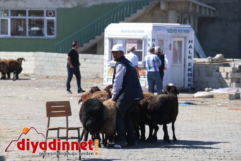 Hayvan pazarlarında bayram bereketi - ERZURUM3