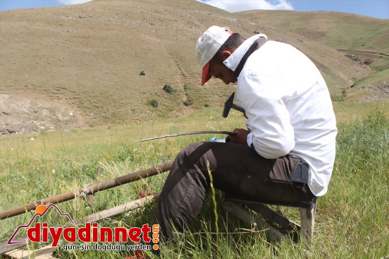 Hayvanları için imece usulüyle dağlardaki otları biçiyorlar - AĞRI 8