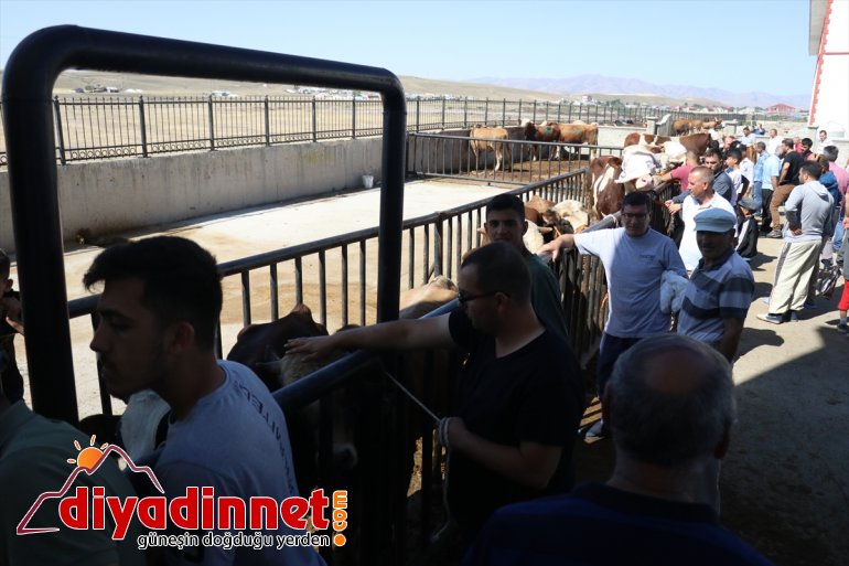 Kurban Bayramı coşkusu - AĞRI 5