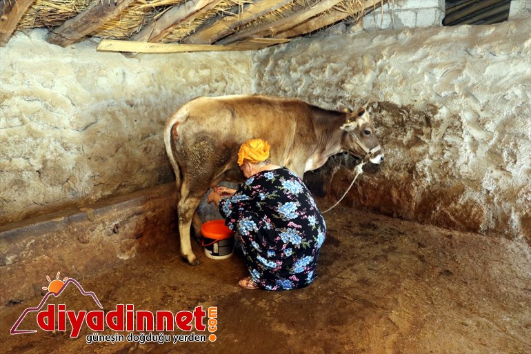 Yabancıların gözüyle Türkiye - Köyümü Hollanda