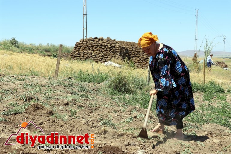 Yabancıların gözüyle Türkiye - Köyümü Hollanda