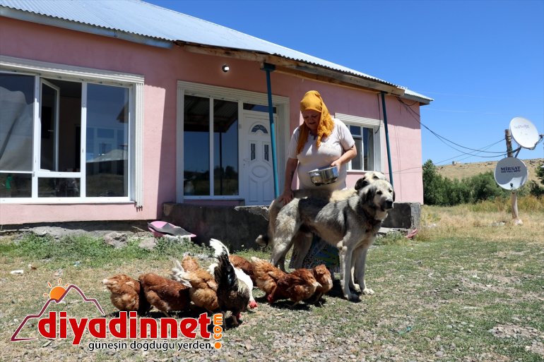 Yabancıların gözüyle Türkiye - Köyümü Hollanda