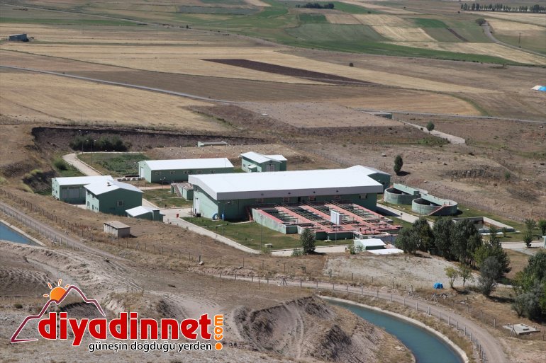 Ağrı'da içme suyu sağlık kriterlerine uygun