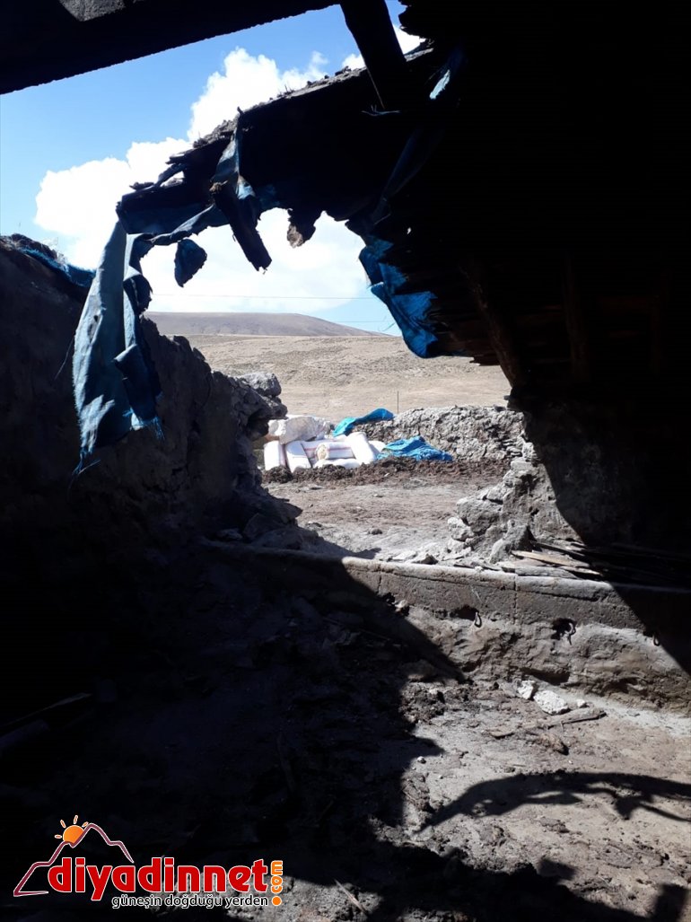 Elektrik akımına kapılan 24 büyükbaş hayvan telef oldu1