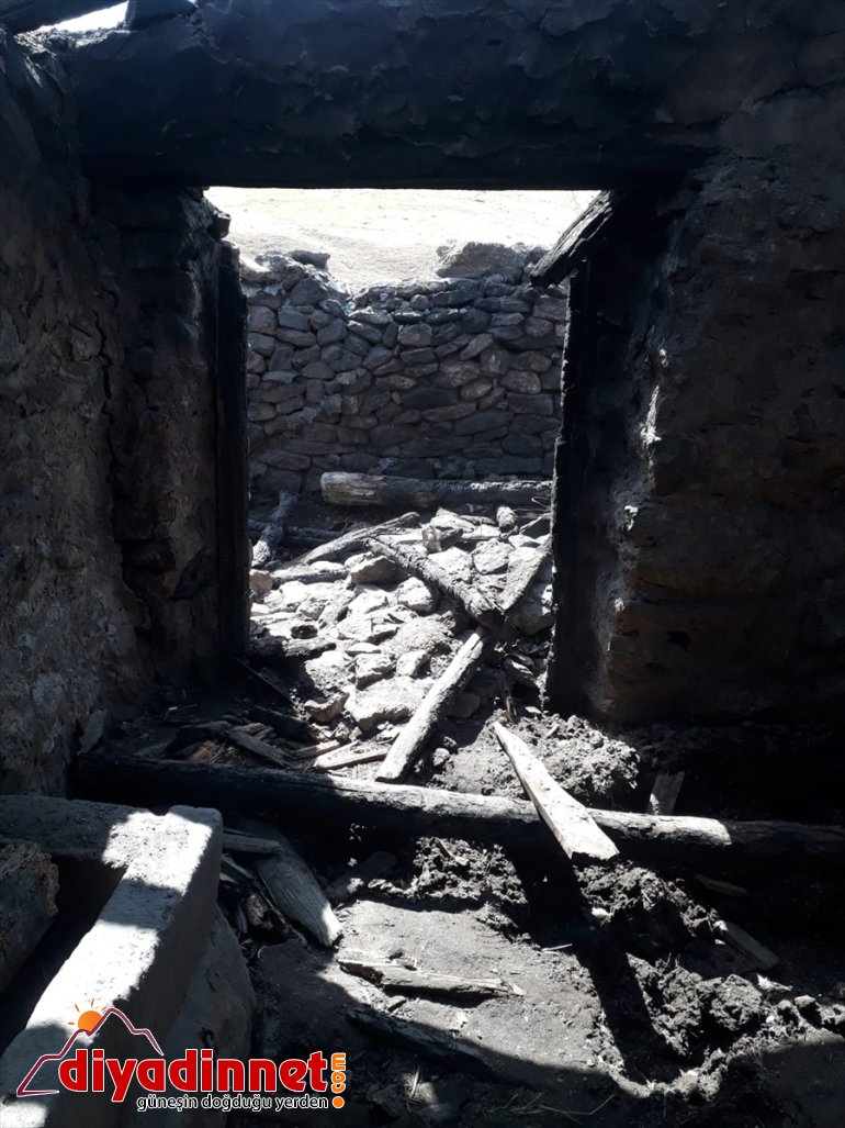 Elektrik akımına kapılan 24 büyükbaş hayvan telef oldu2