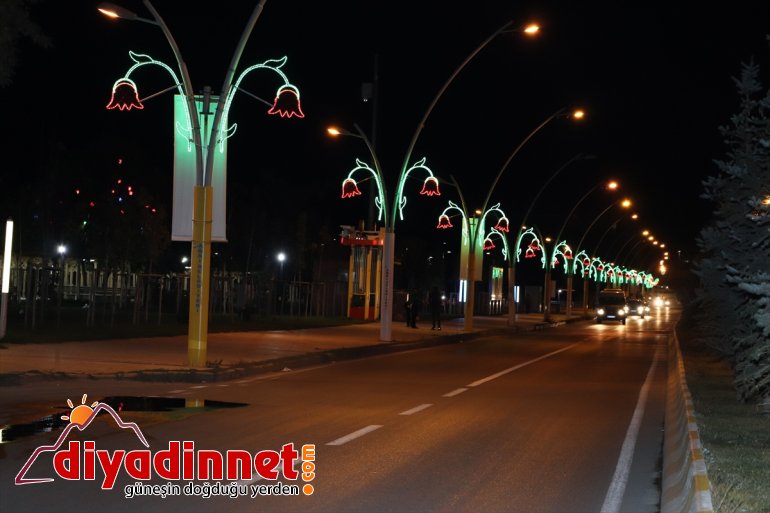 Lale figürlü aydınlatma Ağrı'ya renk kattı