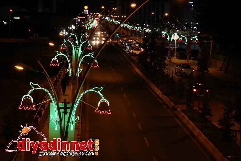 Lale figürlü aydınlatma Ağrı