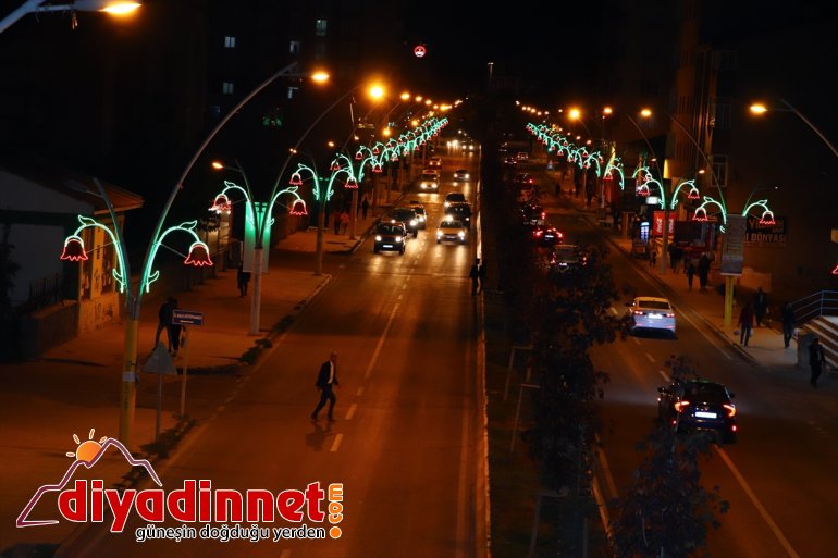 Lale figürlü aydınlatma Ağrı