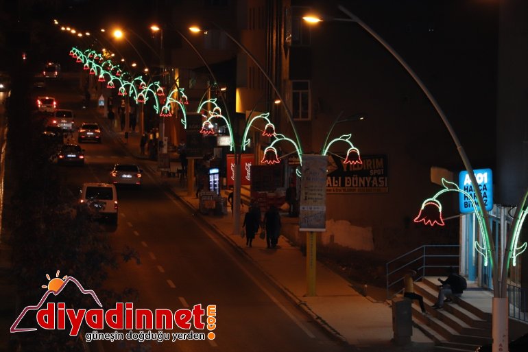 Lale figürlü aydınlatma Ağrı