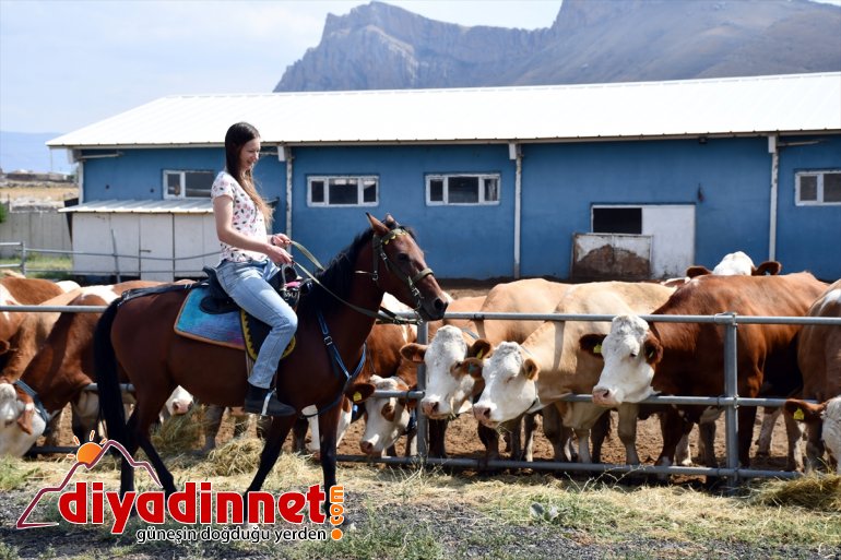 'Masa başı' işten sıkılınca kıtalar arası maceraya atıldı
