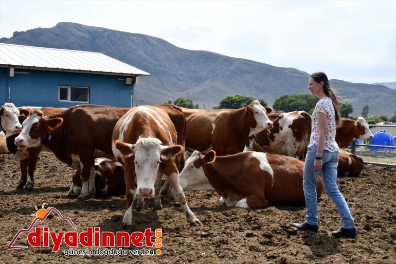 Masa başı işten sıkılınca kıtalar arası maceraya atıldı - AĞRI 2