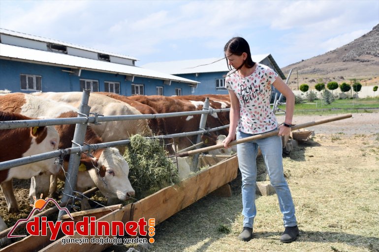 Masa başı işten sıkılınca kıtalar arası maceraya atıldı - AĞRI 3