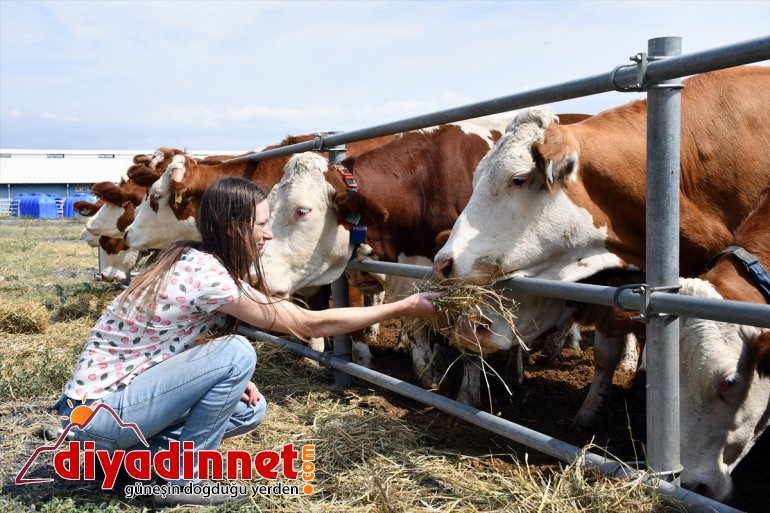Masa başı işten sıkılınca kıtalar arası maceraya atıldı - AĞRI 4