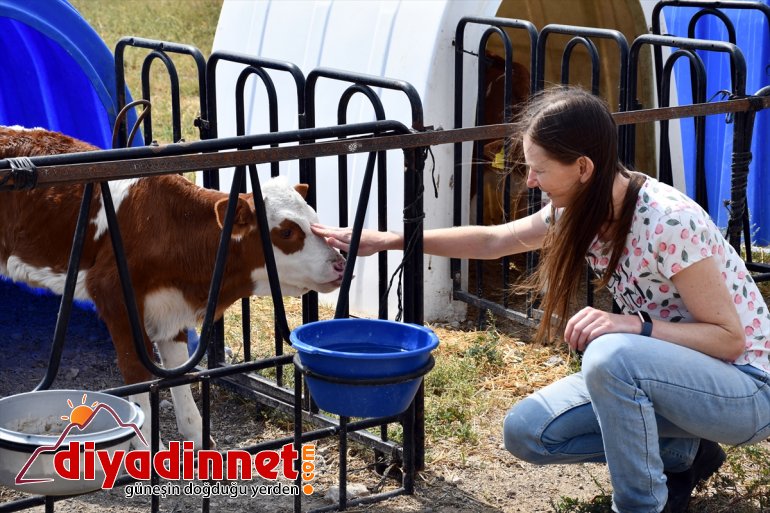 Masa başı işten sıkılınca kıtalar arası maceraya atıldı - AĞRI 5