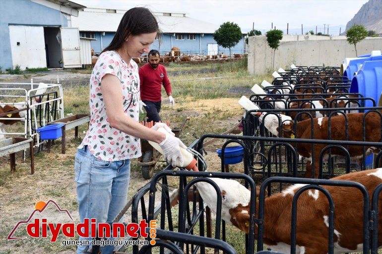 Masa başı işten sıkılınca kıtalar arası maceraya atıldı - AĞRI 6