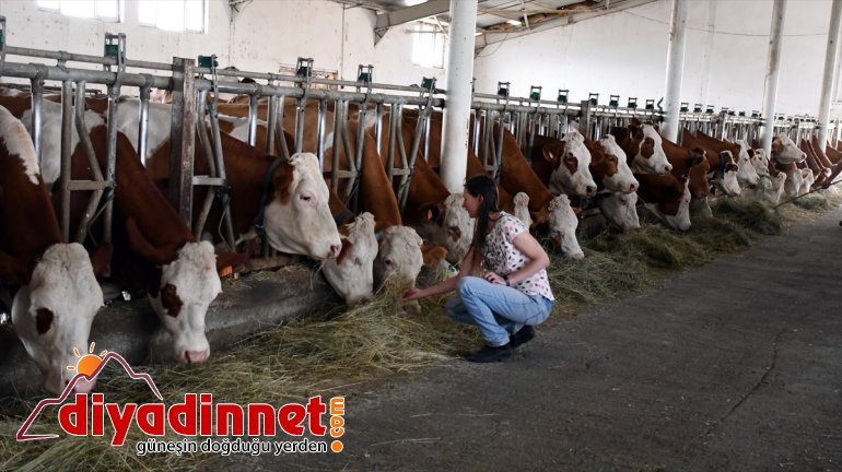 Masa başı işten sıkılınca kıtalar arası maceraya atıldı - AĞRI 7