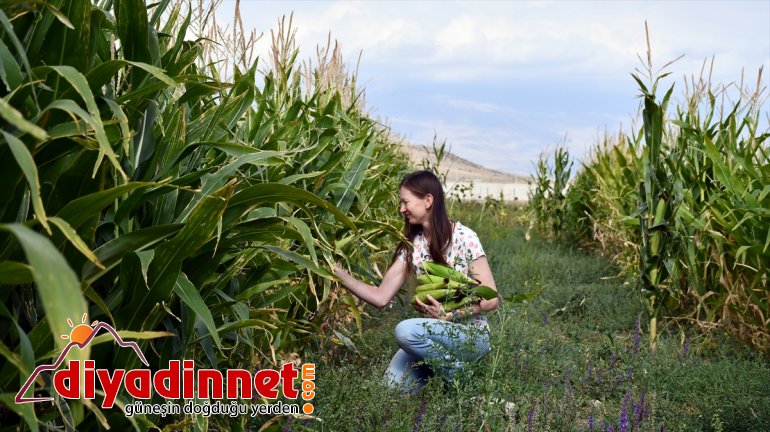 Masa başı işten sıkılınca kıtalar arası maceraya atıldı - AĞRI 10