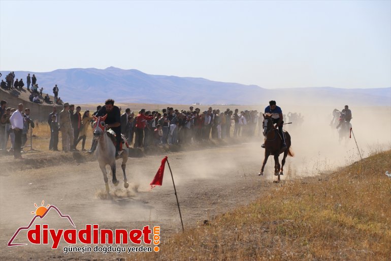 Safkan Arap atlarının katıldığı yarışlar nefes kesti