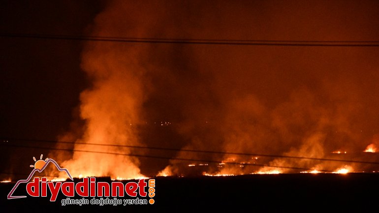 Ağrı'da sazlık alanda yangın