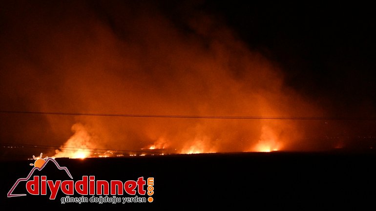 Sazlık alanda yangın - AĞRI2
