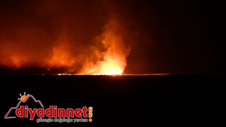 Sazlık alanda yangın - AĞRI3