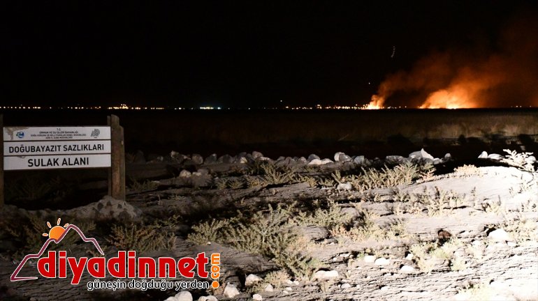 Sazlık alanda yangın - AĞRI4