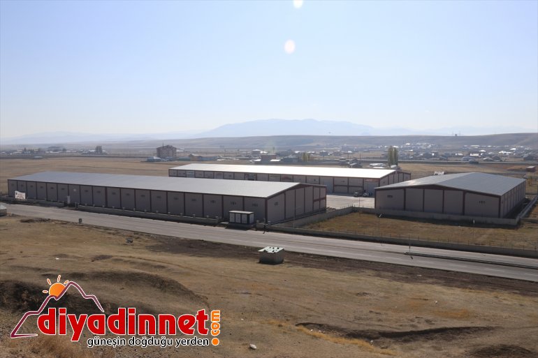 Ağrı esnafı devlet desteğiyle ihracatçı oldu 7